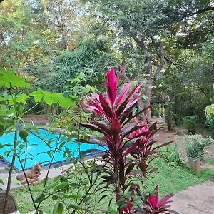  Villa Villa Habarana Sri Lanka