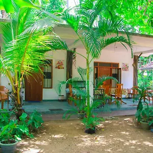  Séjour chez l'habitant Amba Sewana Sri Lanka